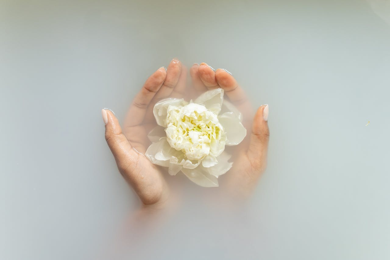 Hands holding a white flower in serene milky water, perfect for spa and wellness themes.